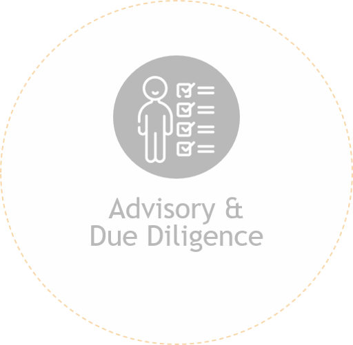 advisory and due diligence